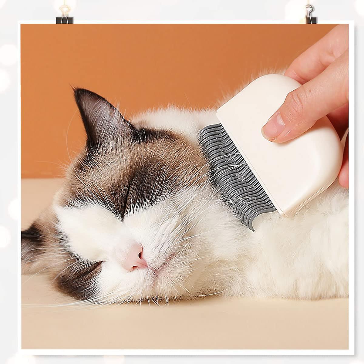 برس صدفی و ماساژور پت