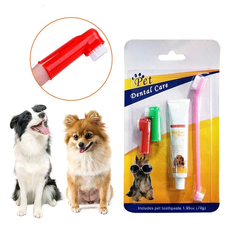 مسواک و خمیردندان سگ